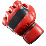 Biểu tượng MMA